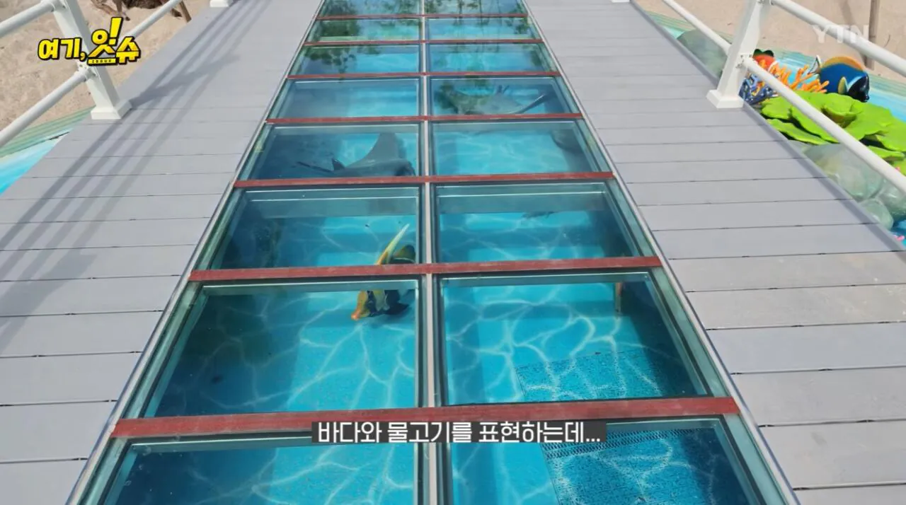 섬 박람회를 직접 가보니 화가 난다는 기자 ㄷㄷ