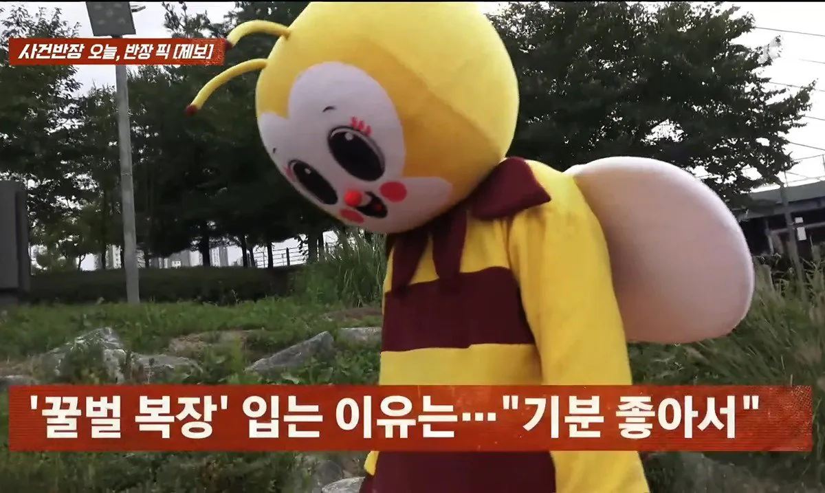 11.jpeg 사건반장에 나온 꿀벌 복장 입는 이유