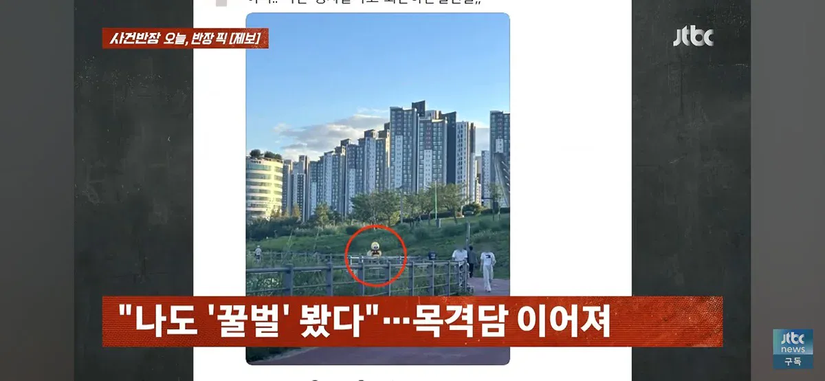 1000071658.webp 포텐간 꿀벌 인형탈 당사자 근황