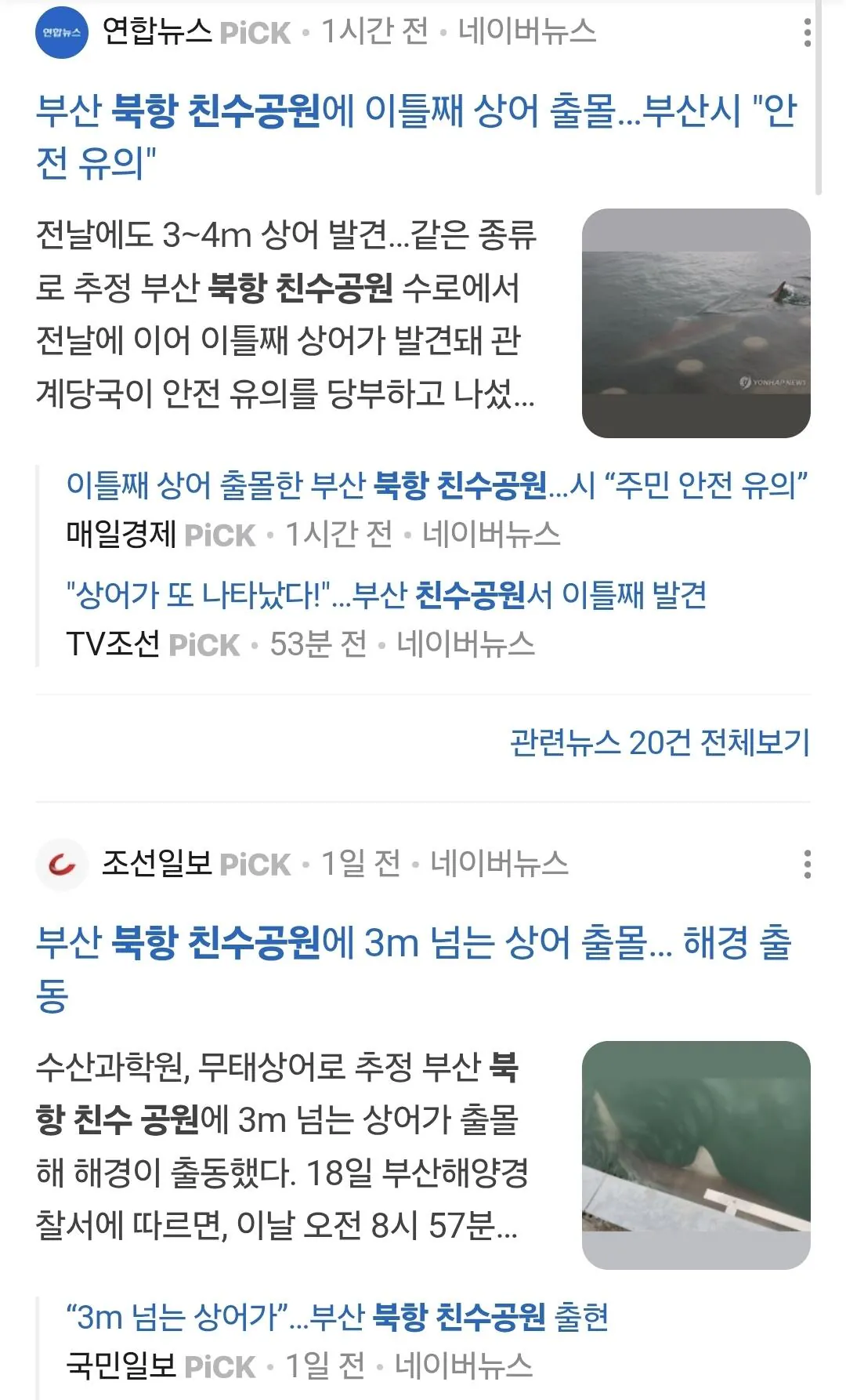 10.jpg 꼬리치는 상어햄 팬서비스에 몰려든 부산사람들