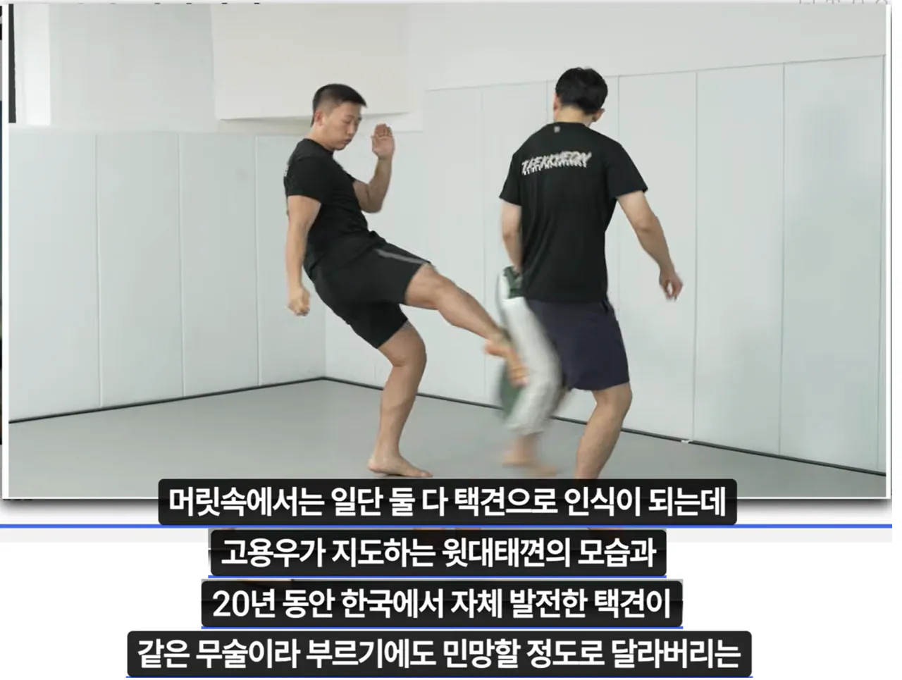 image.png "하나의 유령이 택견계를 배회하고 있다. 윗대태껸이란 유령이."