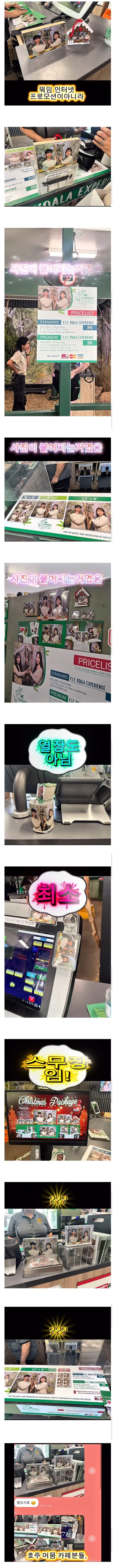 image.png 사진 공짜로 찍었다가 호주 명물이 된 한국인 커플.jpg