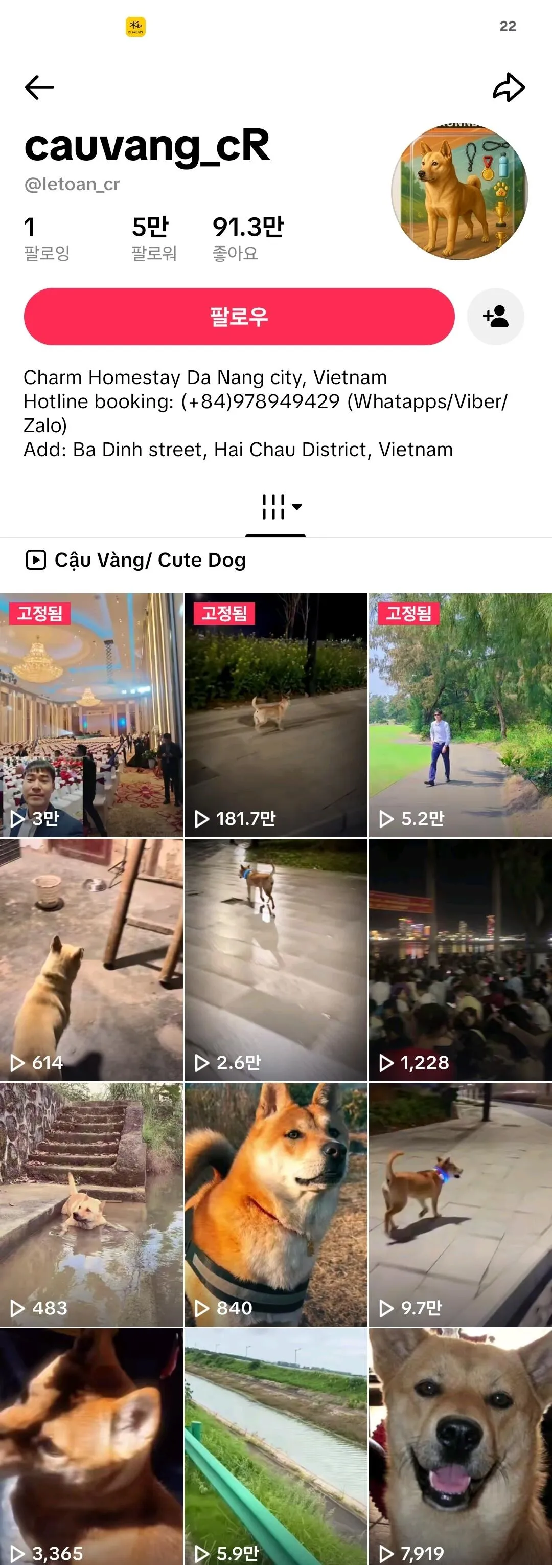 포도) 포텐 진돗개 전력질주 개는 배트남 똥개다.