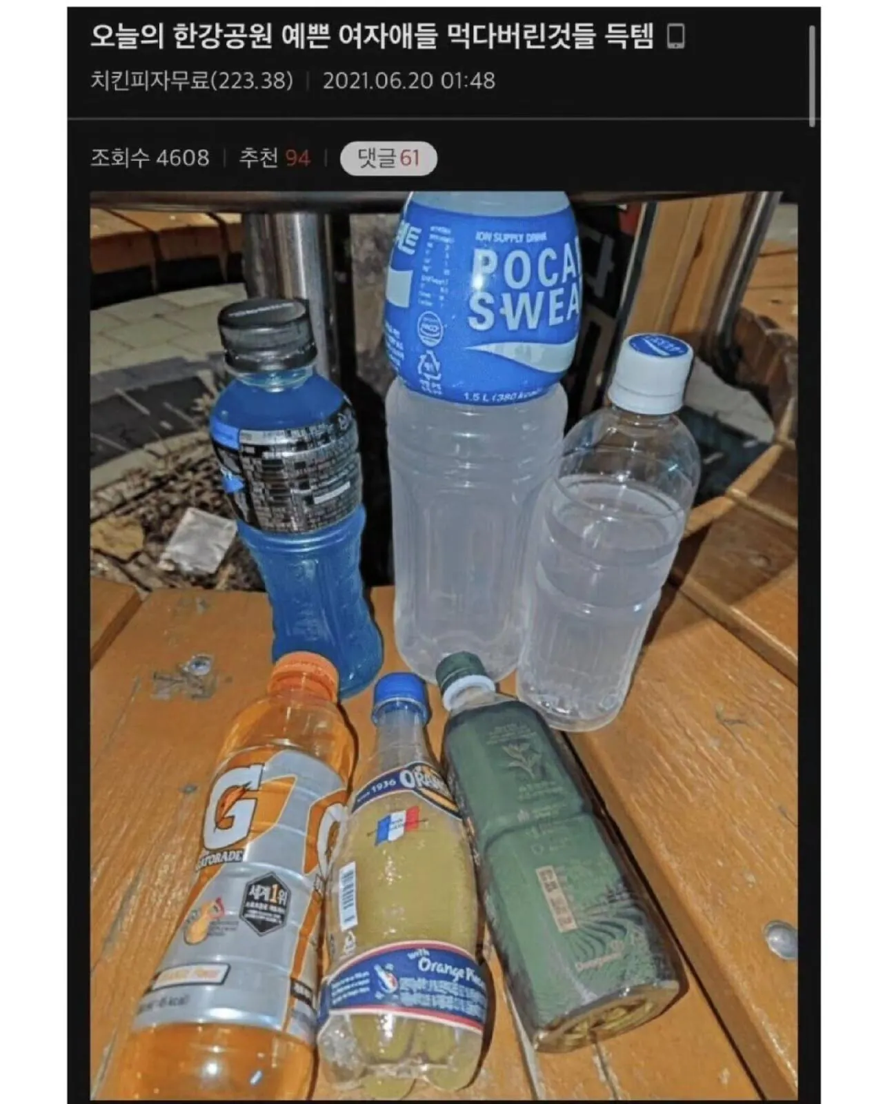 한강에서 공짜로 식사 해결하는 디시인 근황