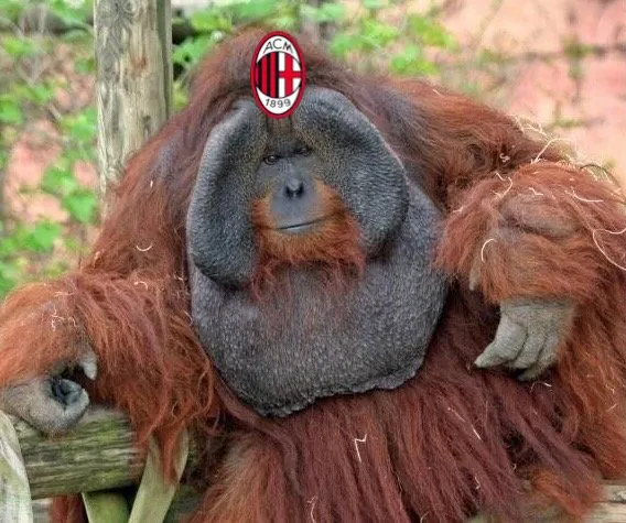 IMG_2165.jpeg 레앙 이적사가 4화