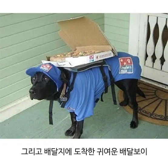 2.jpeg 요청사항을 정확히 들어준 피자집.jpg