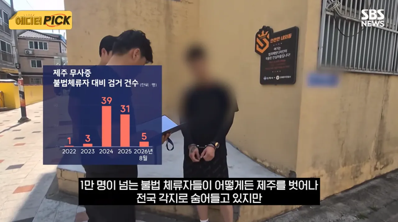 image.png 제주도 근황 시발