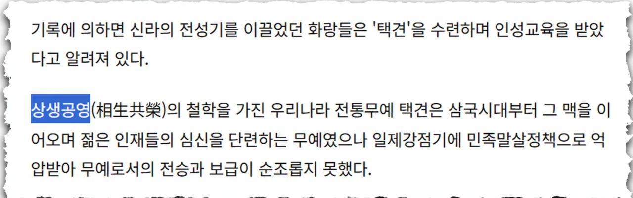 image.png 전통무술 속 개똥철학을 걷어낸 뒤 남은 것