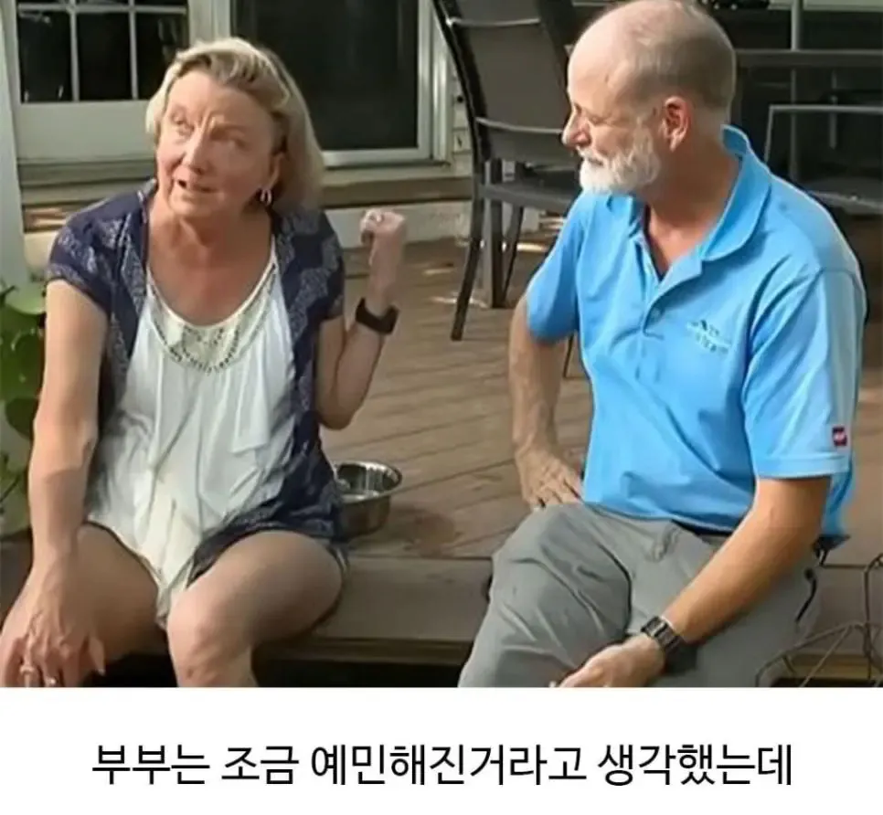 image.png 미용실 다녀온 후 표독해진 골댕이.jpg
