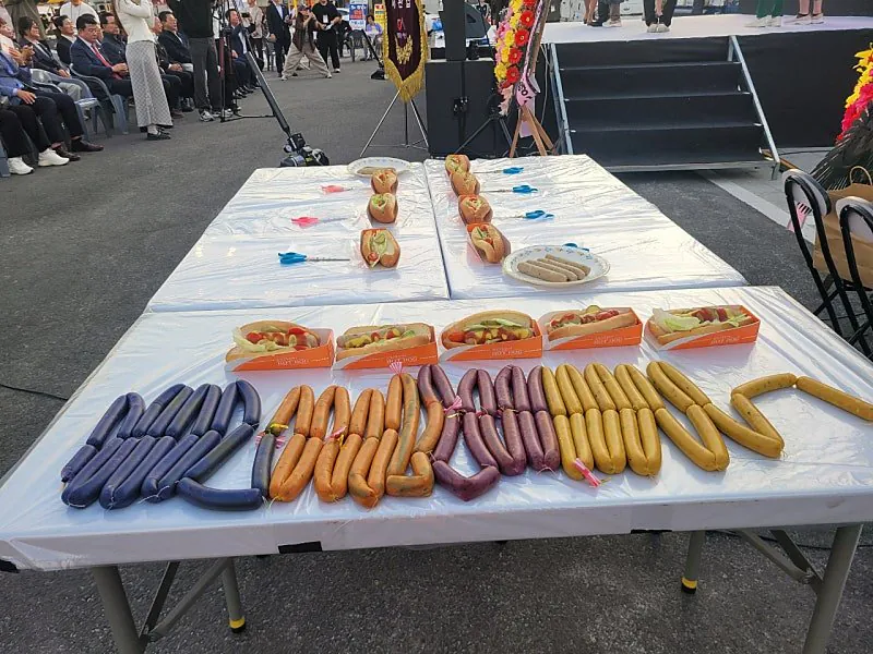 1000006475.jpg 해미읍성 햄이있엉 축제.JPG