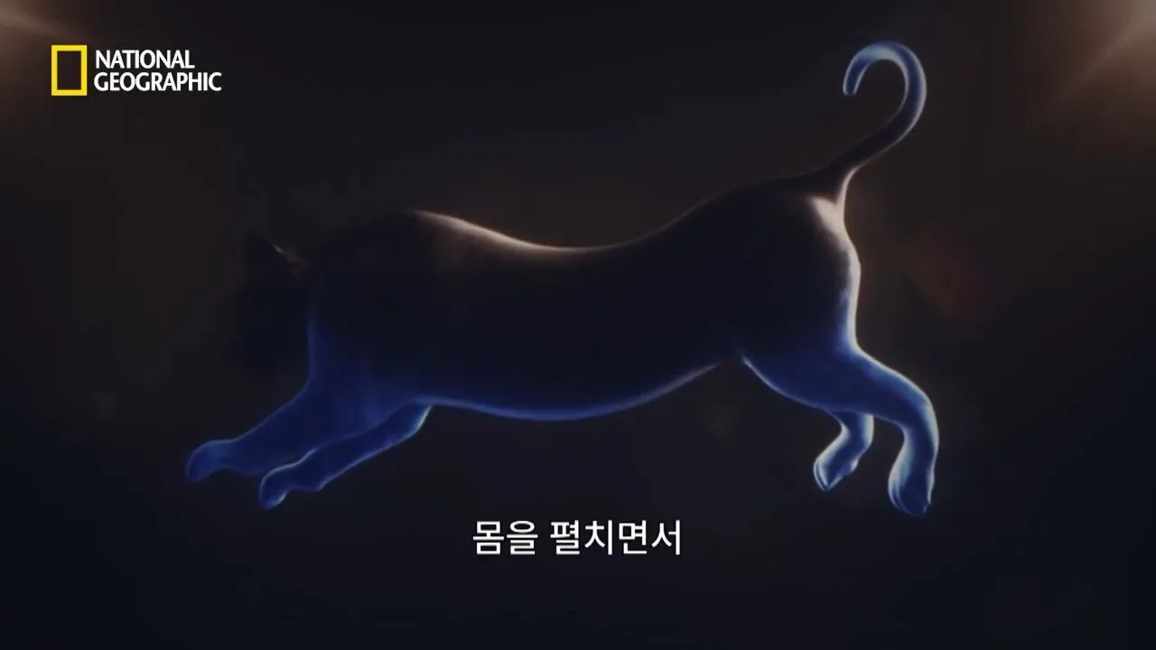 Internet_20260802_153513_27.jpeg 사냥 중 120m 절벽 아래로 떨어진 눈표범