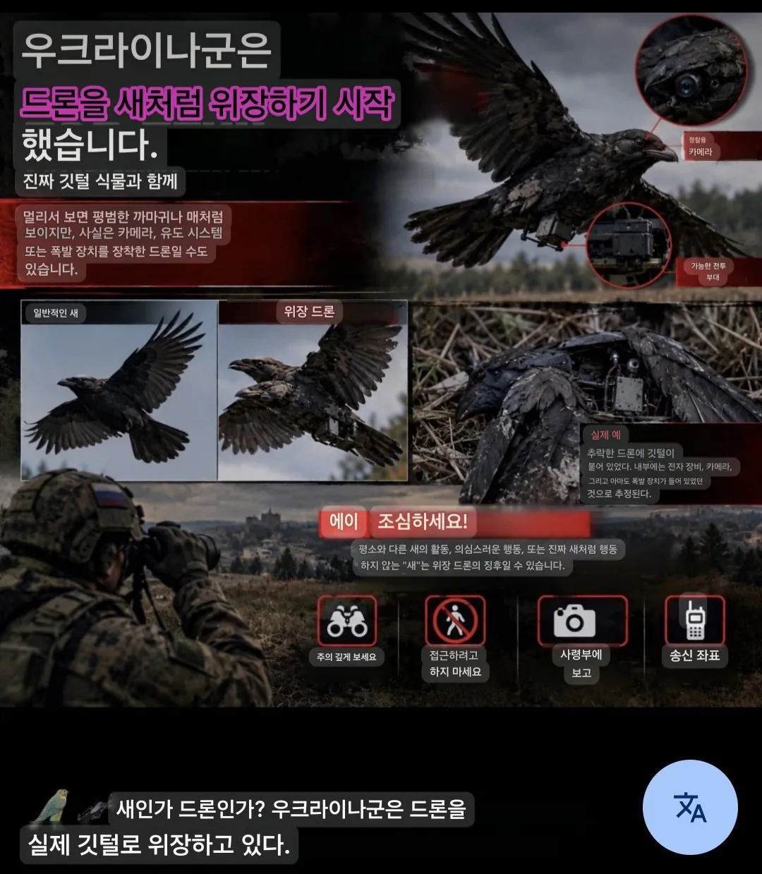 Screenshot_20261008_145357_Google.jpg 우크라이나에 정체불명의 새(?!)들이 등장했다