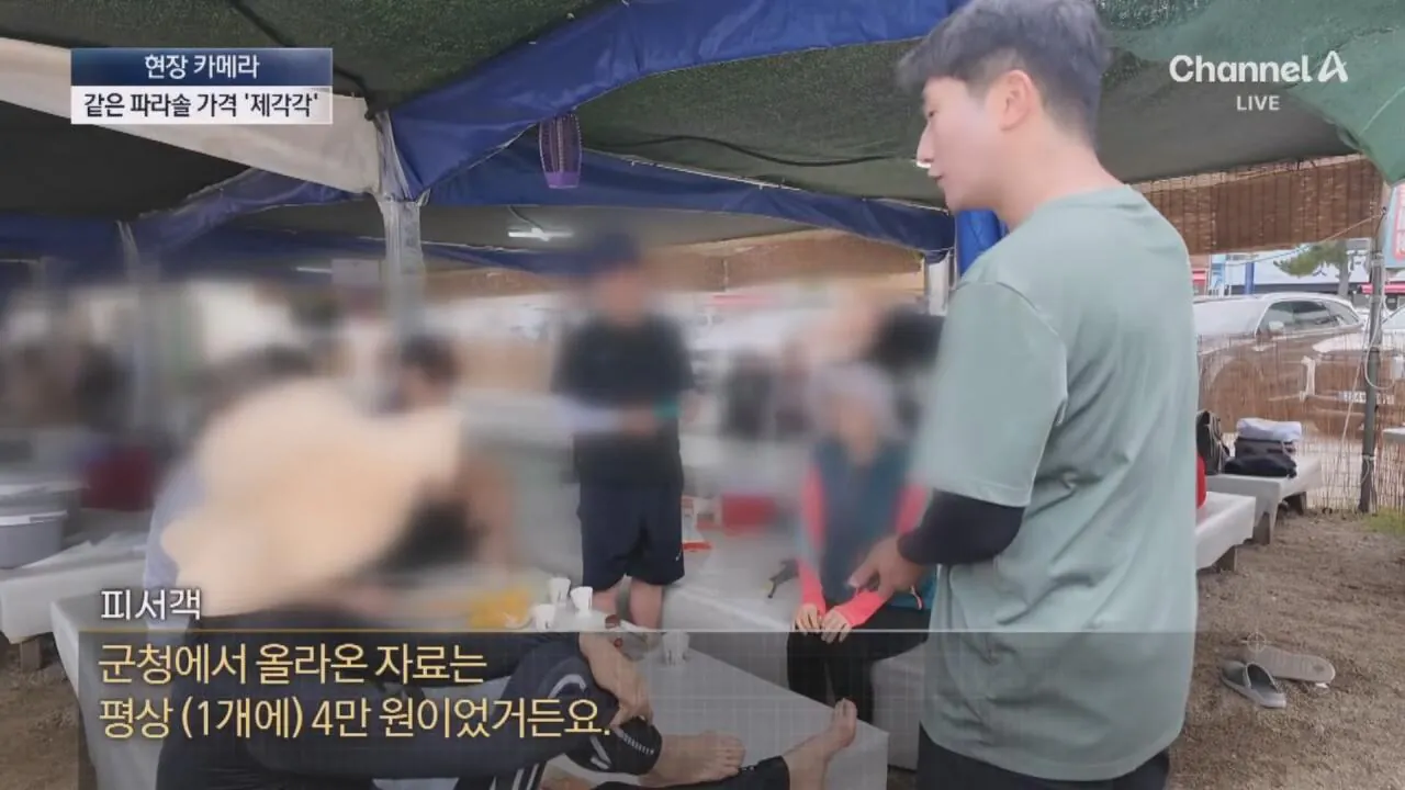 1 (13).jpg "바가지 싫으면 바다 오지마"... 정부 발표에도 여전한 바가지