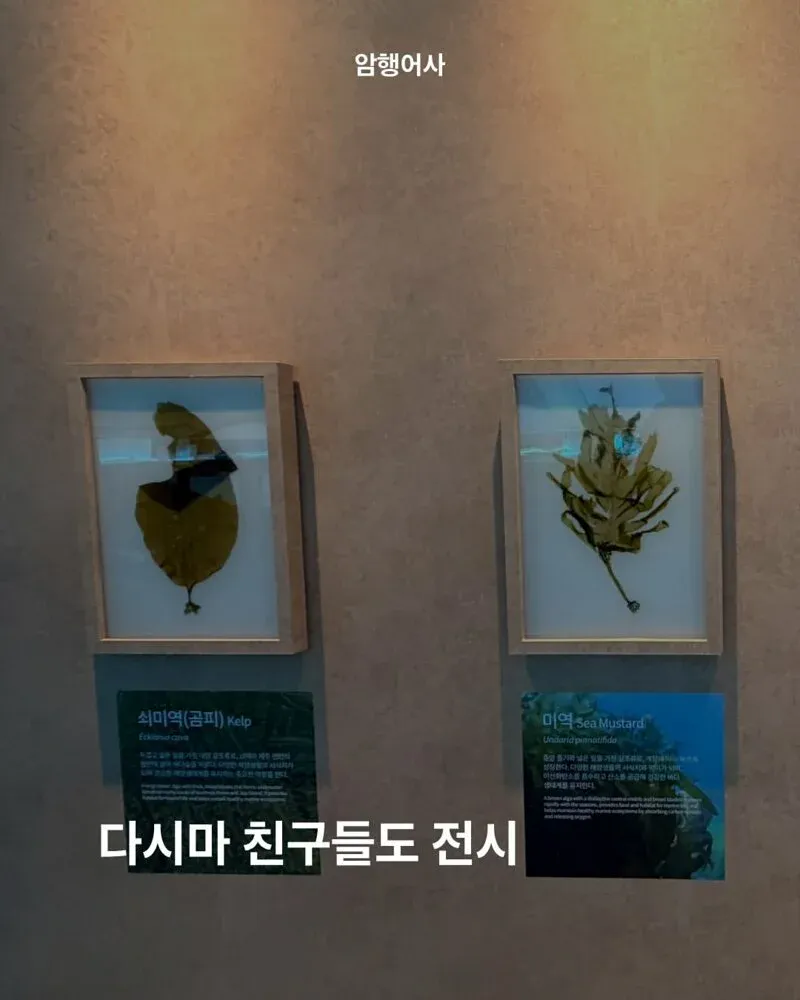 1000244796.webp 700억 짜리 여수 섬박람회는 어떤 볼거리가 있나