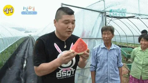 중국인들이 한국 "수박론"을 믿는이유
