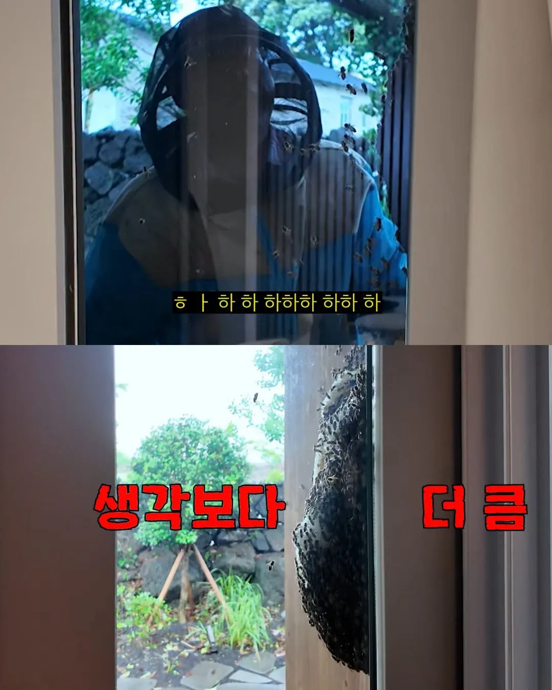 Internet_20261025_084350_14.webp 2주만에 제주도 집 갔다가 119 부른 김숙