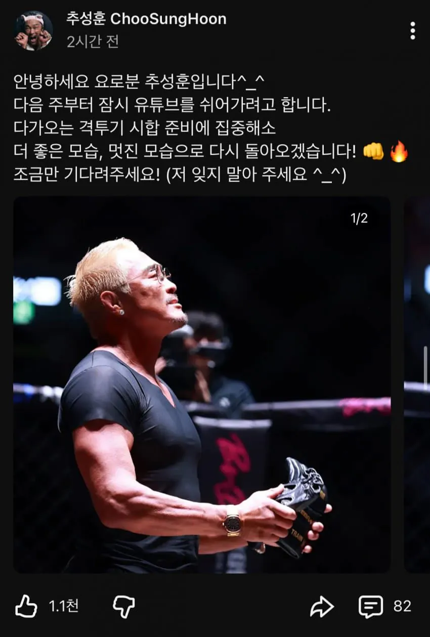 1789730291.jpg 추성훈 유튜브 활동 중단