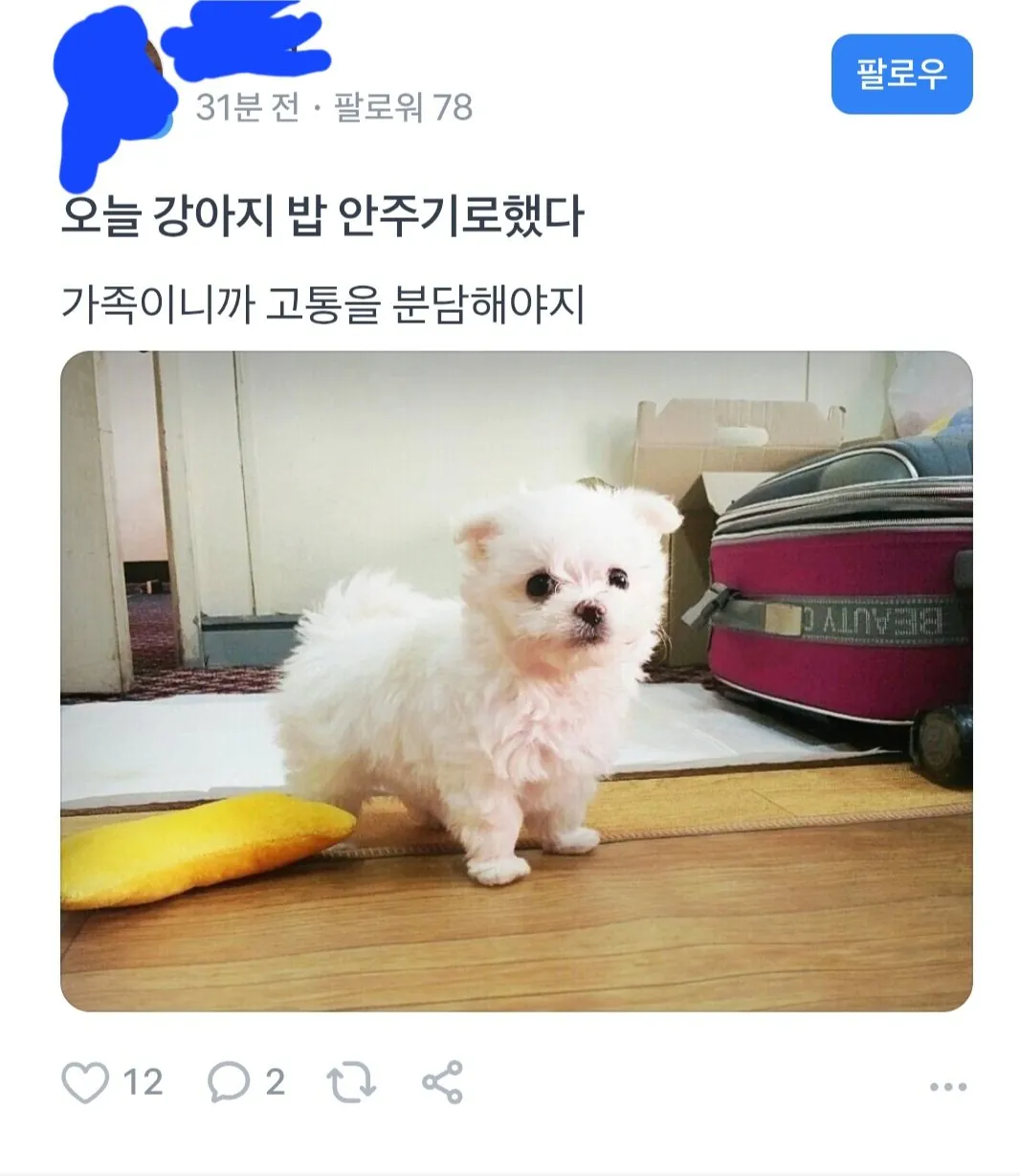 1000000518.jpg 주가는 떨어지는데 드립력은 물오른 토스커뮤.jpg