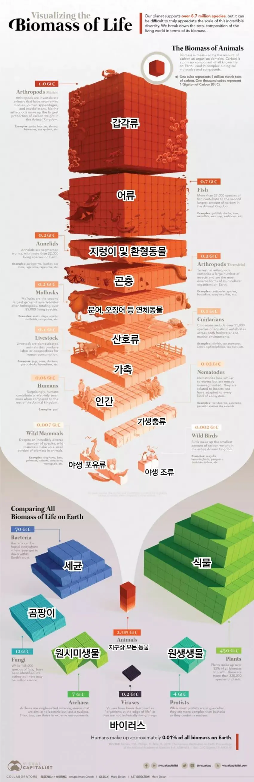 8501437434_486263_759e6ce581ad87bd7229f14f8791da87.jpg 지구에 서식하는 생물량 순위.jpg