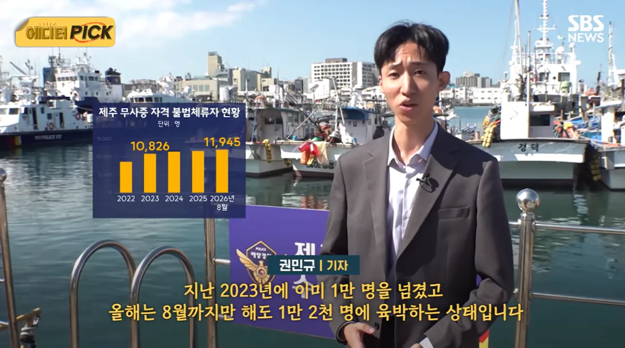 image.png 제주도 근황 시발