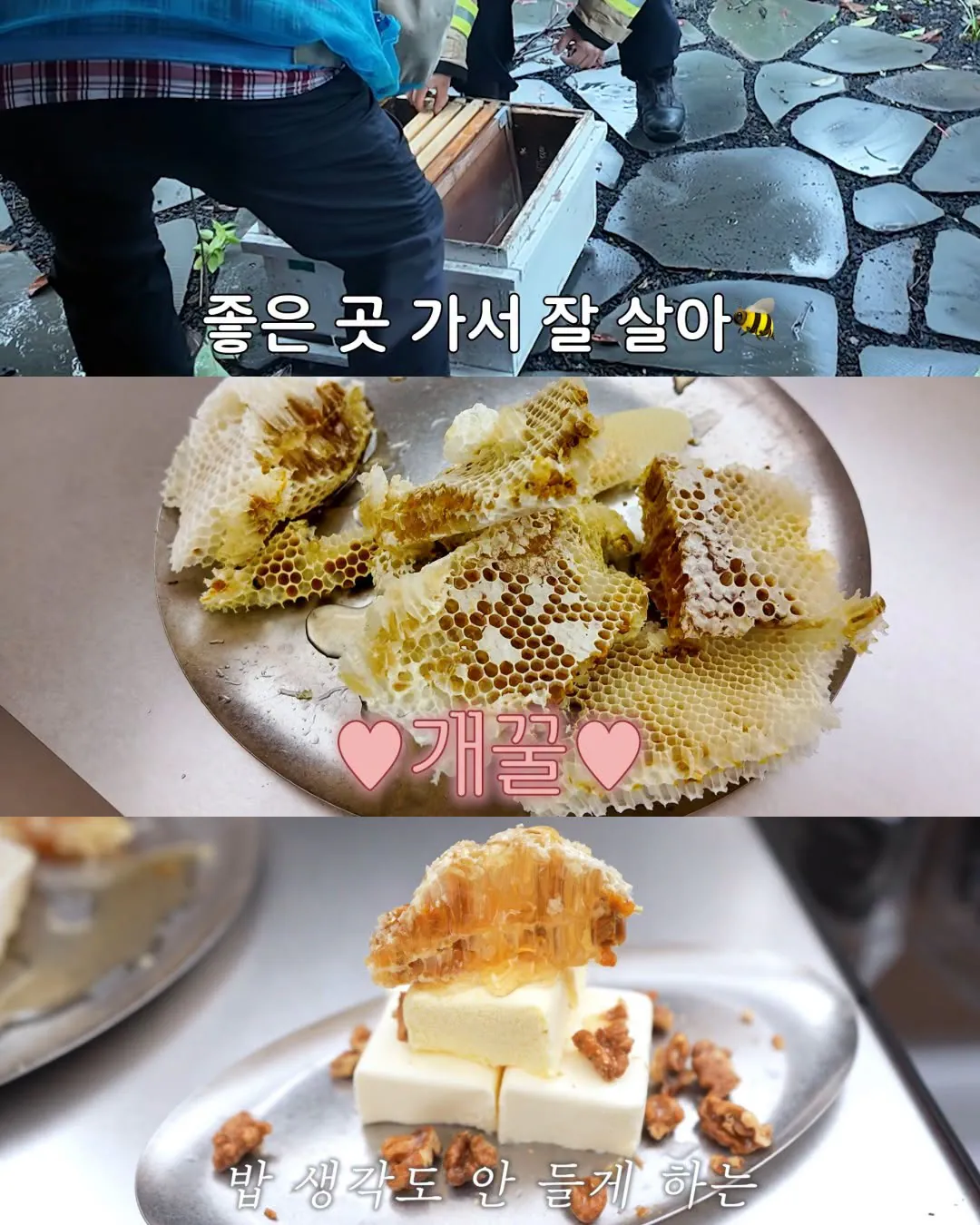 Internet_20261025_084350_17.jpeg 2주만에 제주도 집 갔다가 119 부른 김숙
