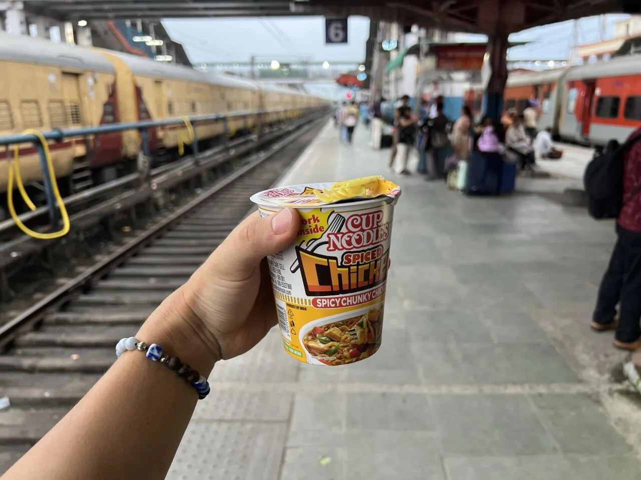 IMG_7242.JPEG 충격과 공포의 인도 바라나시 여행기 1부