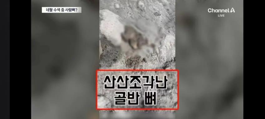 1788501394.jpg 네팔에간 한국인 산악인 근황