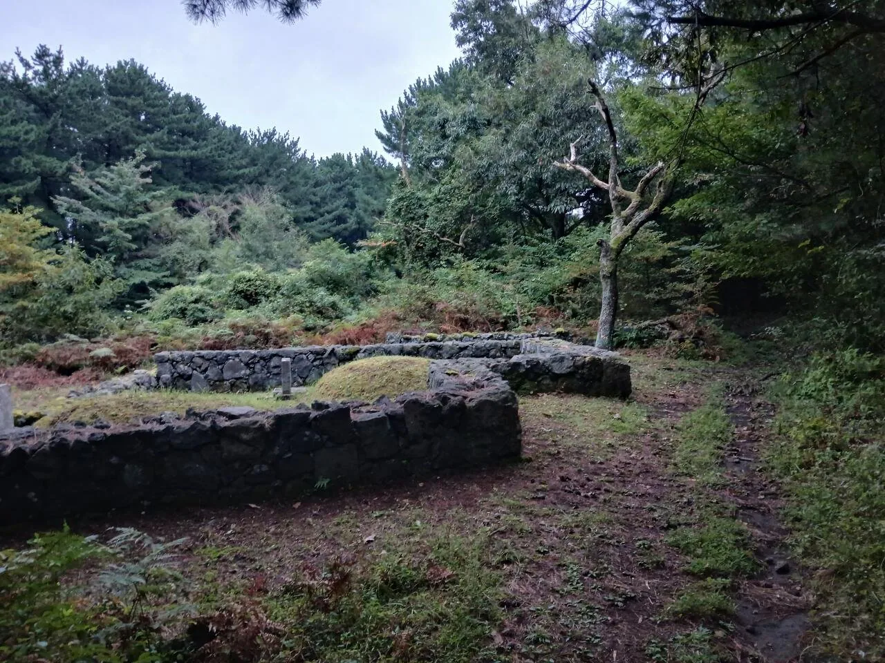 1000029677.jpg 혐주의) 제주도 뱀 수색 작전 2