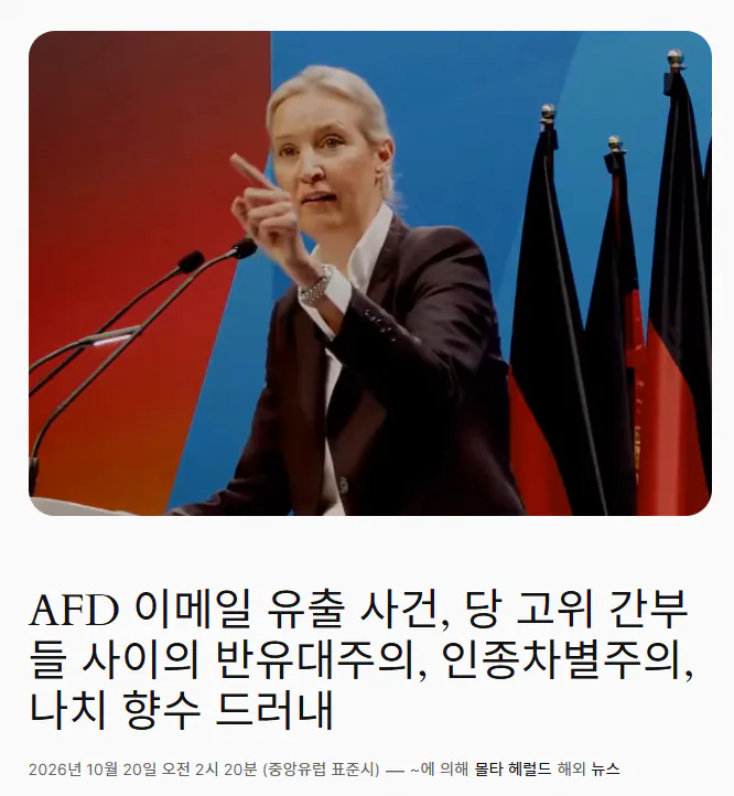image.png AfD 메일 유출. 난민들을 핸드백과 부츠로 만들자는 농담에 Heil und Sieg까지 나오네요.