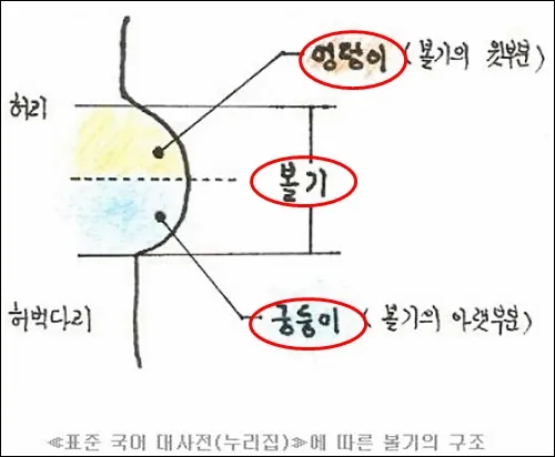 6235.webp 엉덩이 와 궁둥이 의 차이