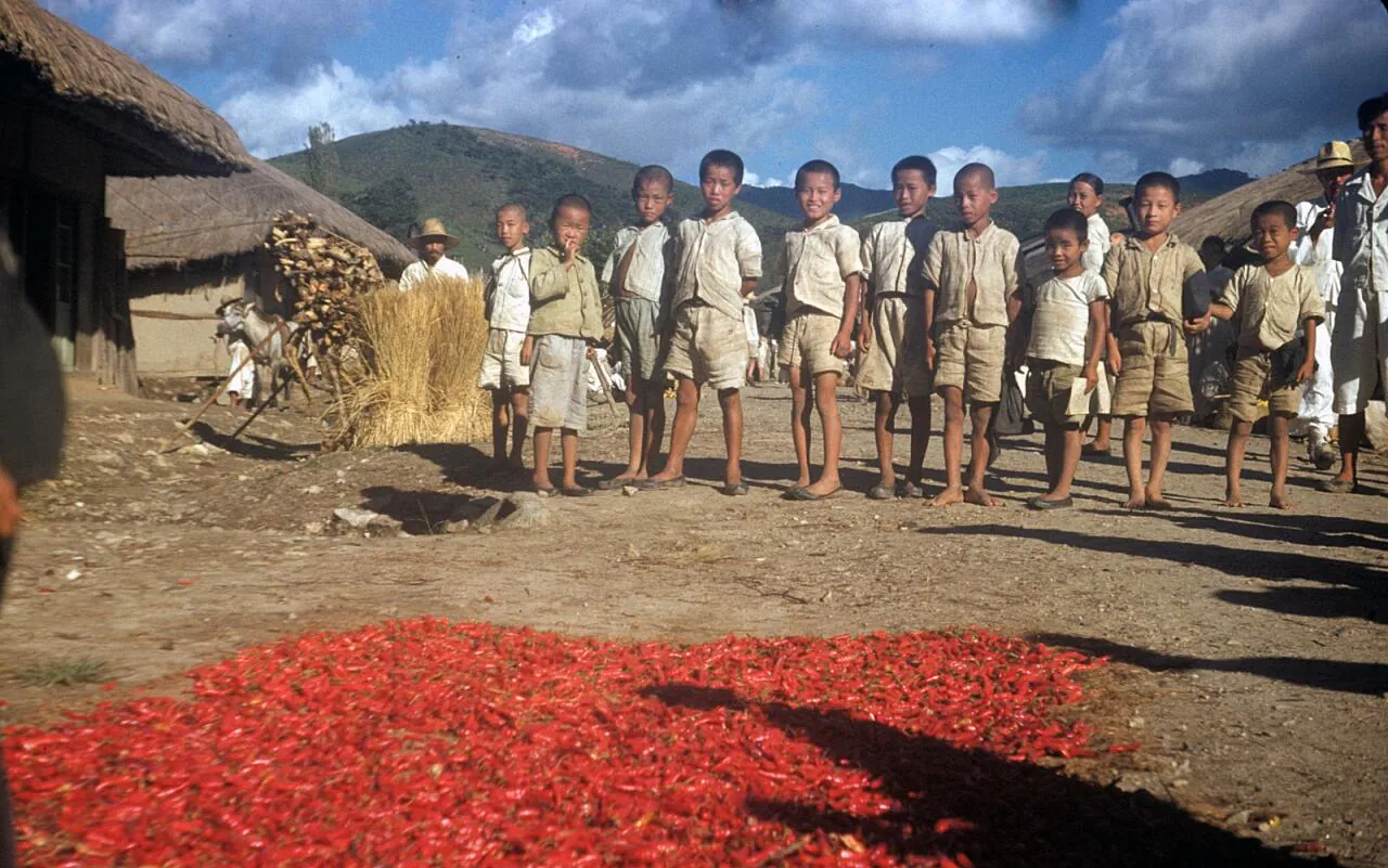 e_hot-peppers1952_15867443169_o.jpg 희귀사진(KOREA, 1952)