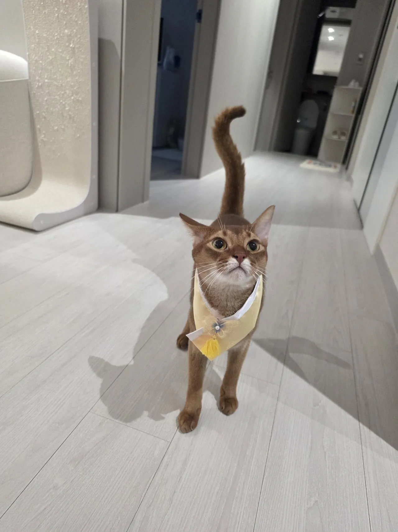 22812.jpg 해피 추석 되십쇼 형님들