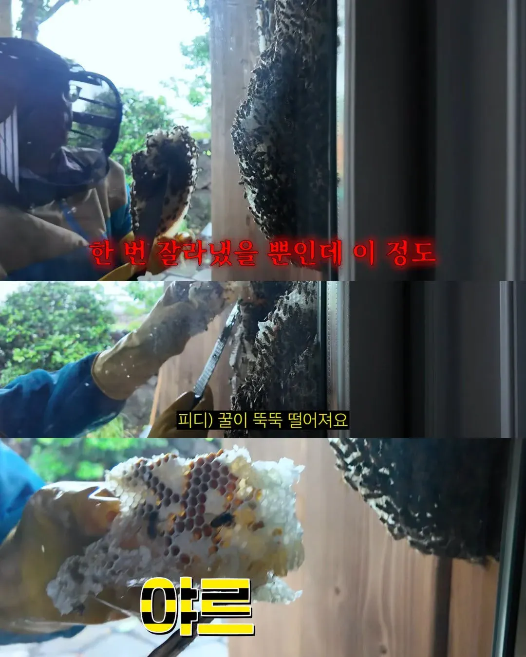 Internet_20261025_084350_15.webp 2주만에 제주도 집 갔다가 119 부른 김숙