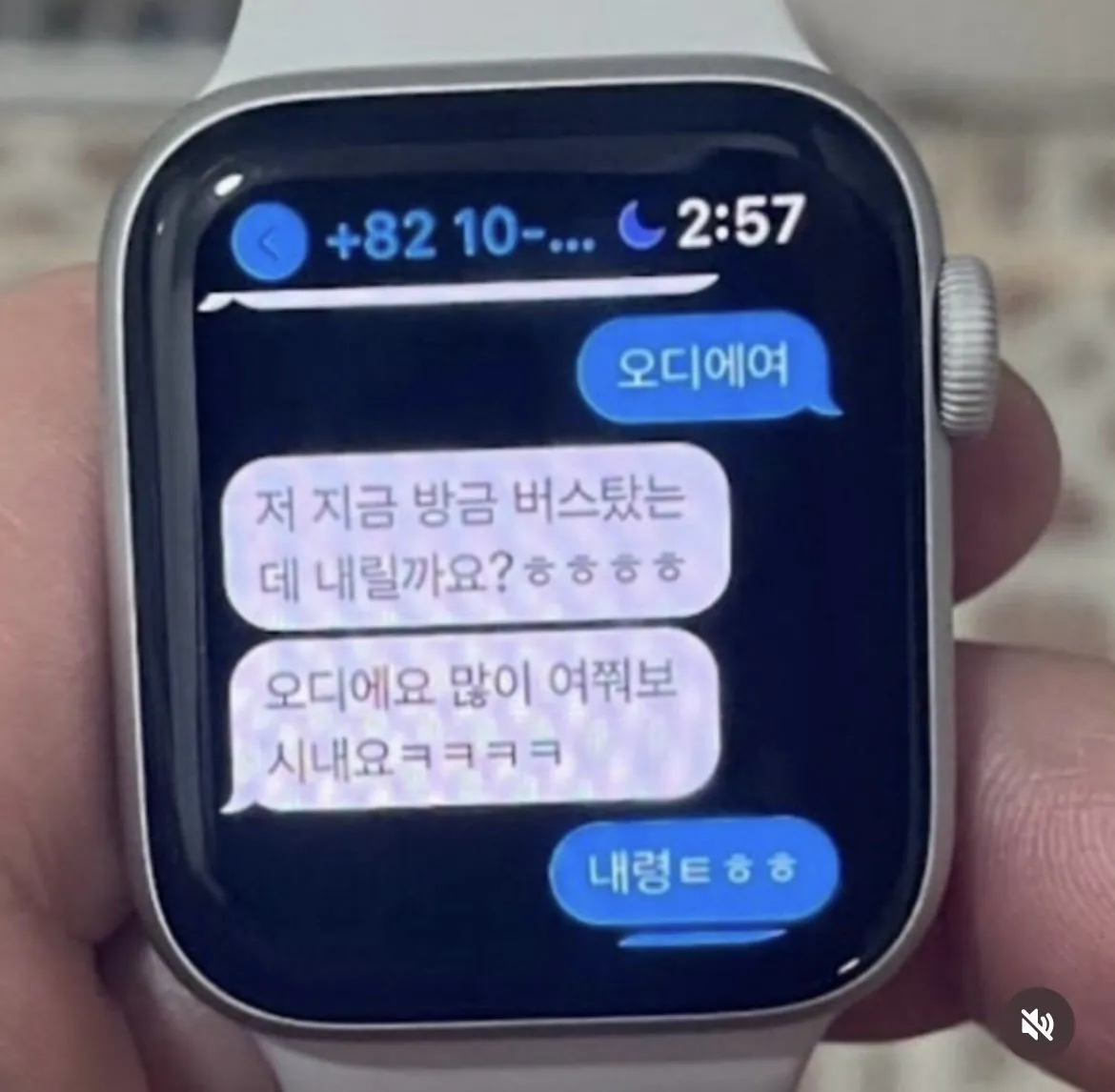 IMG_1453.jpeg 여자친구 애플워치를 몰래 본 남자친구.jpg