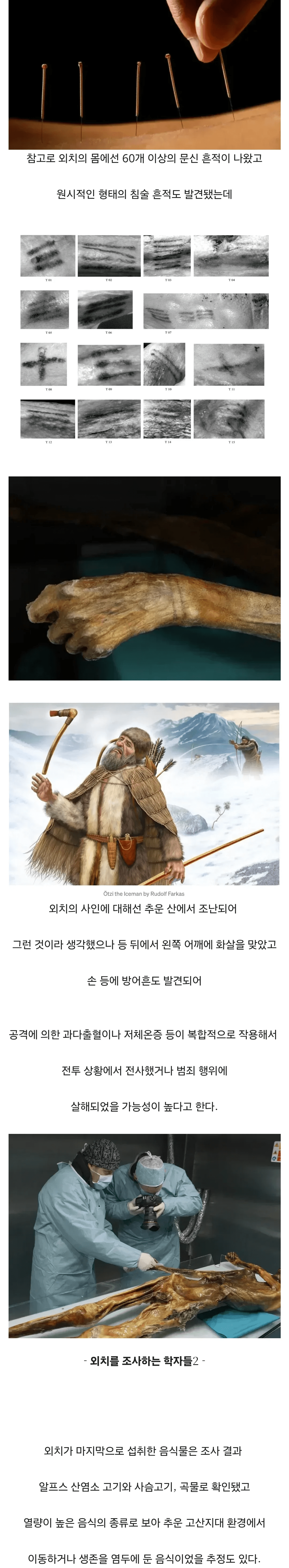 image.png 혐?)얼음 속에서 5000년 넘게 잠들어 있던 미라 이야기