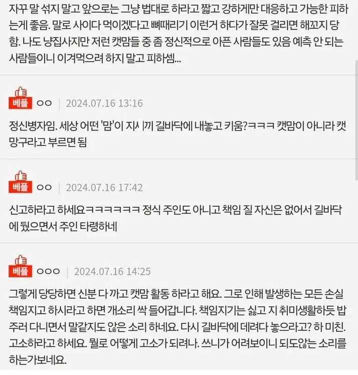 길고양이 소유권 주장하는 캣맘