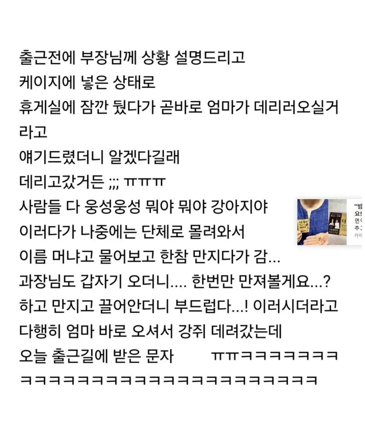 IMG_3158.jpeg 피치못할 사정으로 강쥐 데리고 출근했는데...jpg