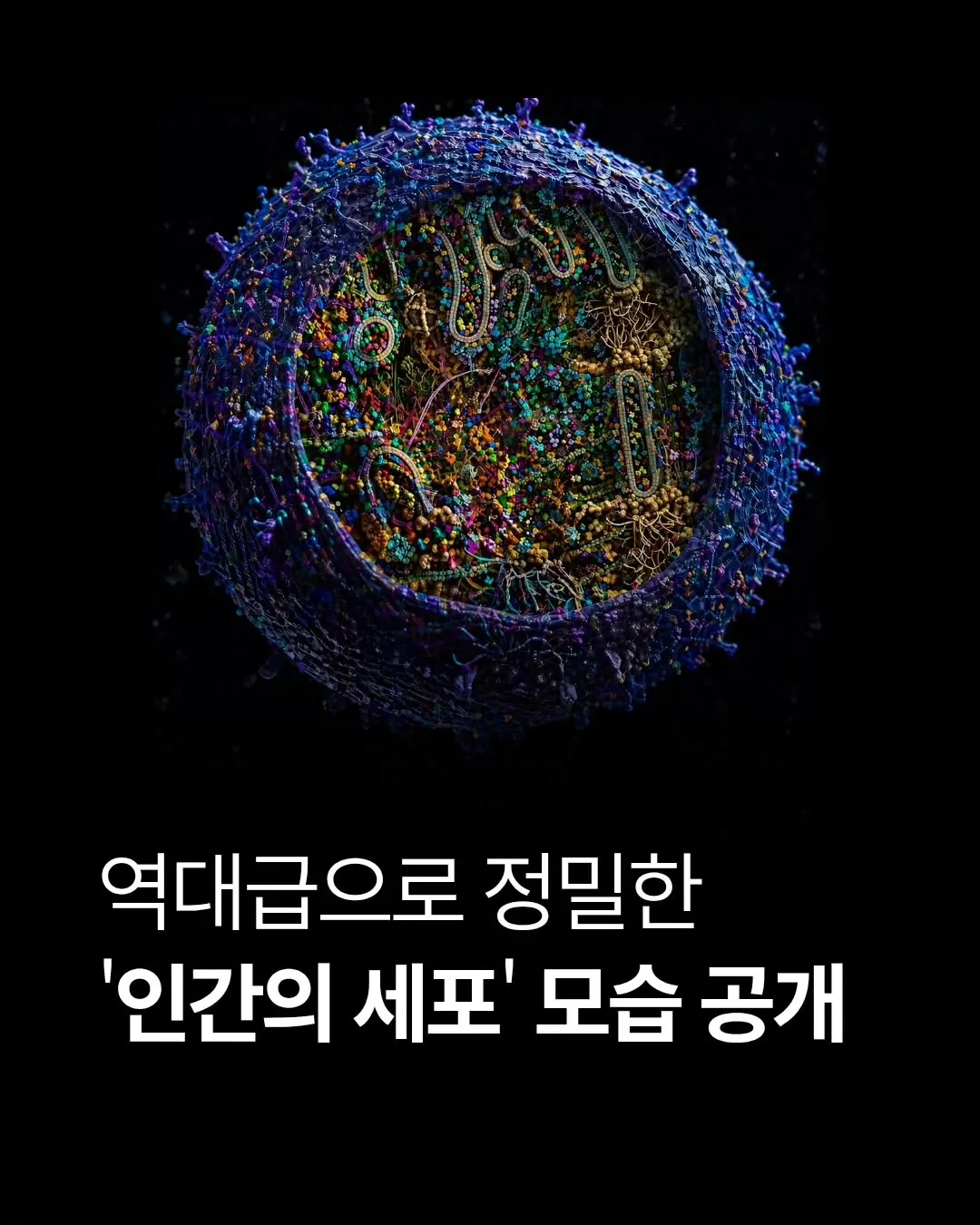 space_mystery.zip_1784019655_3940743054524776346_77112442949.heic.ren.jpg ์ญ๋ ๊ฐ์ฅ ์ ๋ฐํ '์ธ๊ฐ ์ธํฌ'์ ๋ชจ์ต ๊ณต๊ฐ