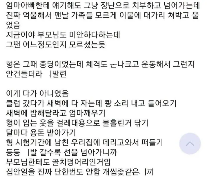 짐승같은 사촌누나랑 동거한썰