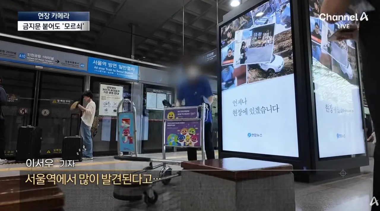 설마 여기까지…공항 카트의 황당 종착지 (21).png 공항카트를 자기 마음대로 쓴다는 뻔뻔한 인간들