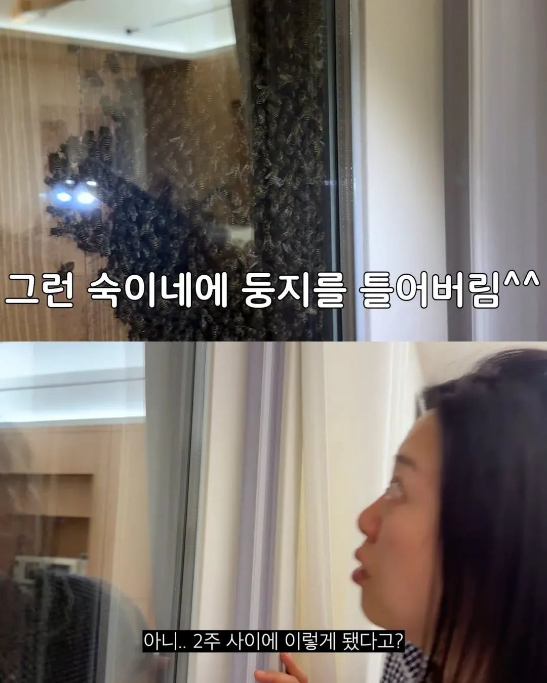 Internet_20261025_084350_7.webp 2주만에 제주도 집 갔다가 119 부른 김숙