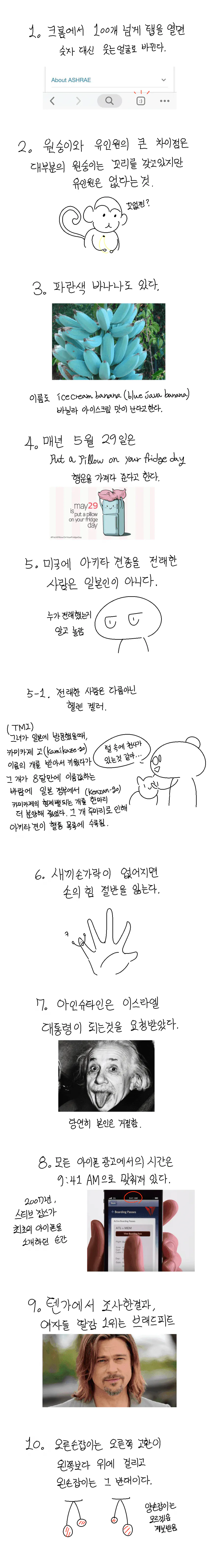 image.png 싱글벙글 신기한 사실들.manhwa