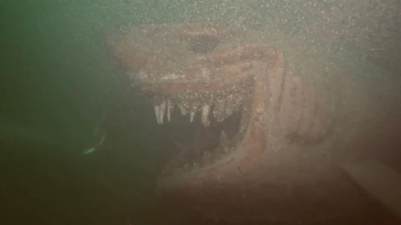 theres-a-horrifying-shark-statue-at-the-bottom-of-lake-v0-teo886p5f2pe1.jpg ํ) ์ง์ง ์กด๋ ์ด๋ฒํ๊ฒ์๊ธด ์์ด ์กฐ๊ฐ์