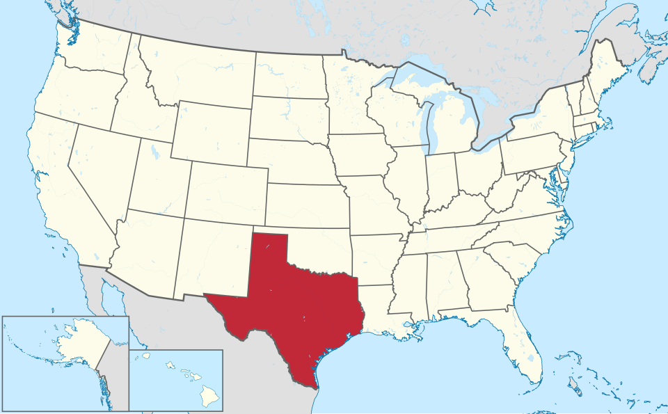 Texas_in_United_States.svg.webp ๊ฐ๋จํ ๋ฏธ๊ตญ ์ค๊ฐ์ ๊ฑฐ ์์ ์์ฝ