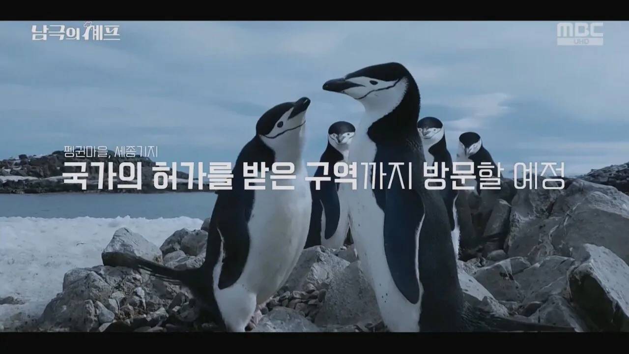 是我，白種元！12.jpg 더본코리아 오나님 백종원이 남극에 가려는 이유.jpg