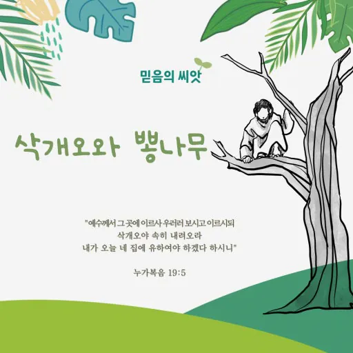 image.png 삭개오의 나무
