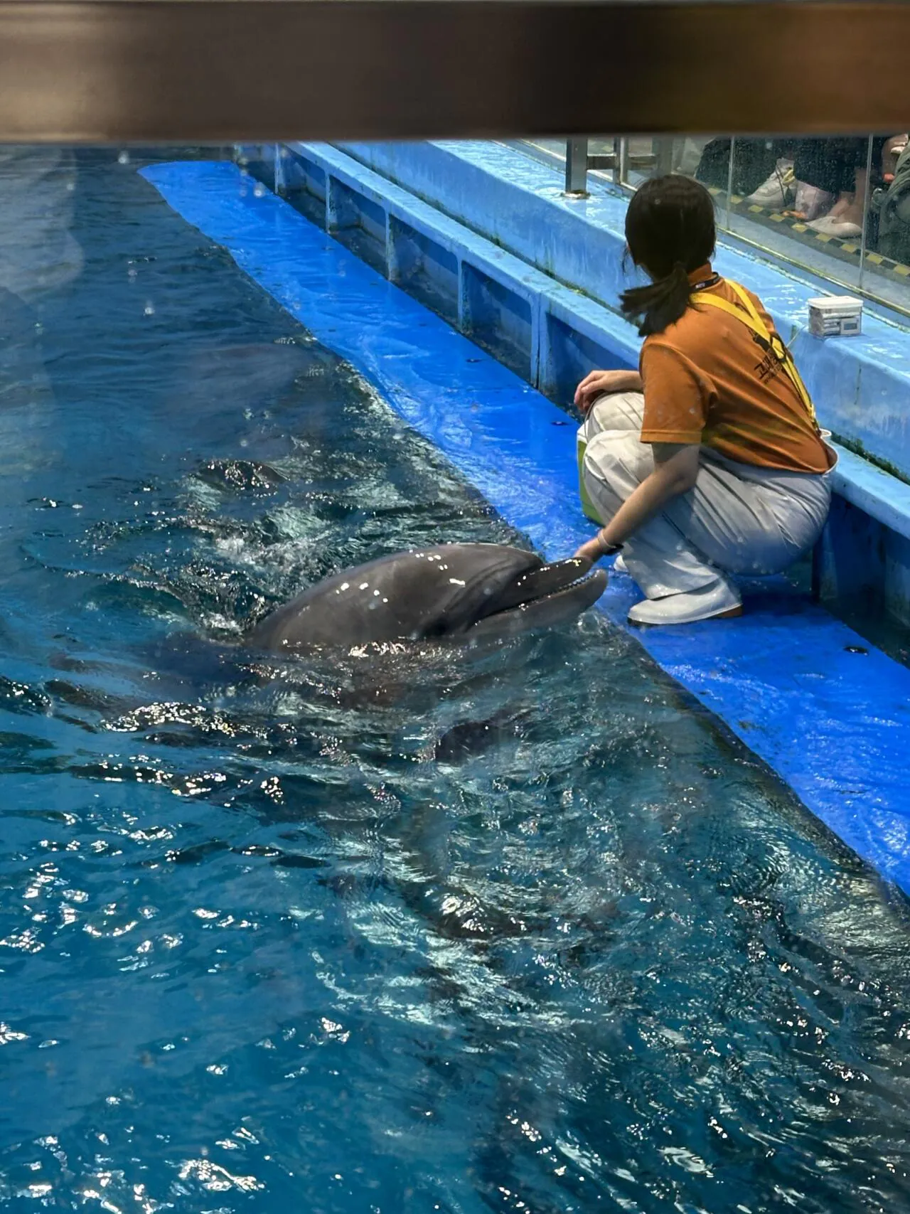 KakaoTalk_20260914_143813940_08.jpg 인린이와 함께 한 울산원정 2박 3일 (스압)