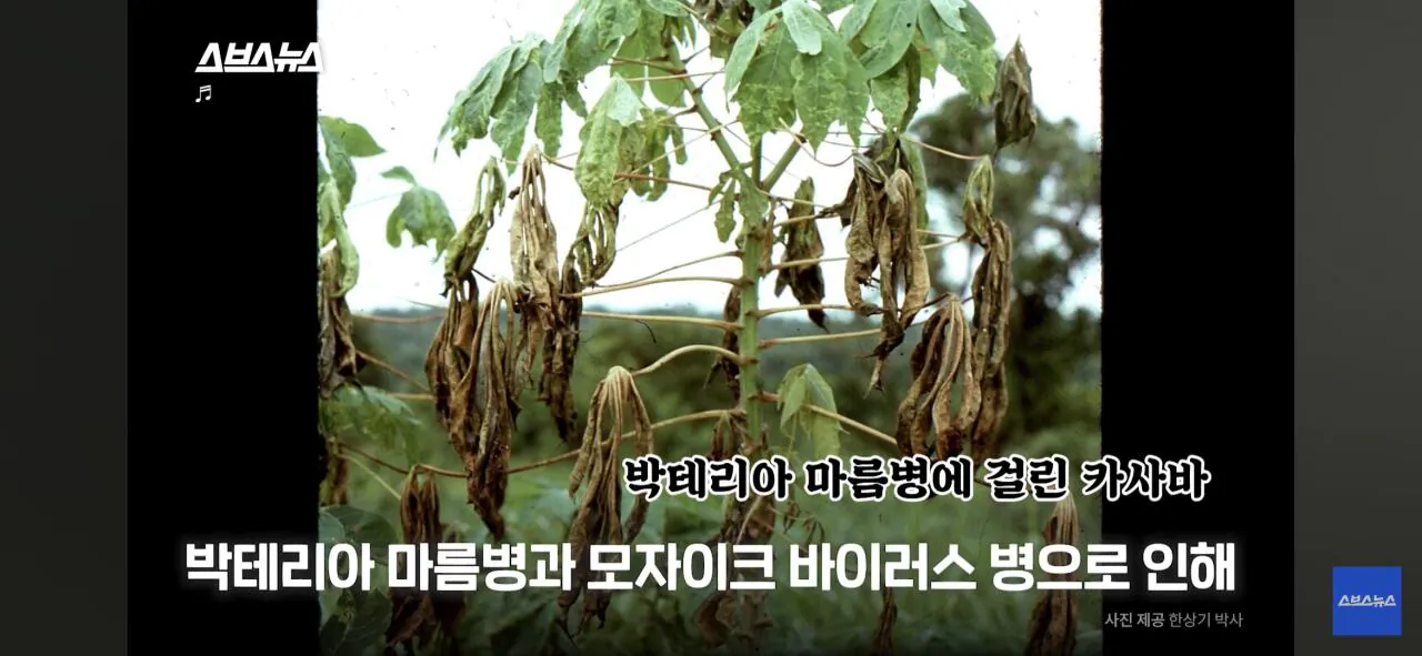 Screenshot_20260906_175305_YouTube.jpg ์ฑ๊ธ๋ฒ๊ธ ์ํ๋ฆฌ์นด ํ๊ตญ์ธ ๋์ถ์ฅ