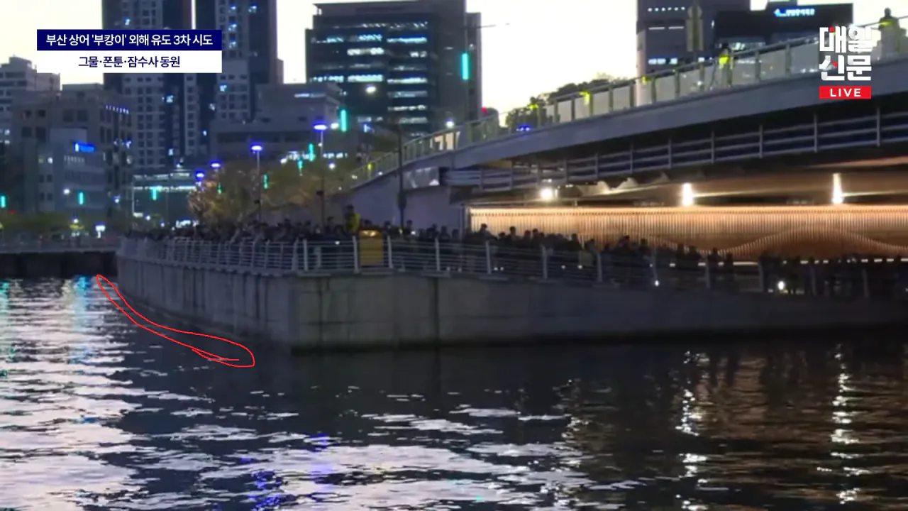 image.png 부캉이 나간후 현재 촬영된곳 정확한 위치