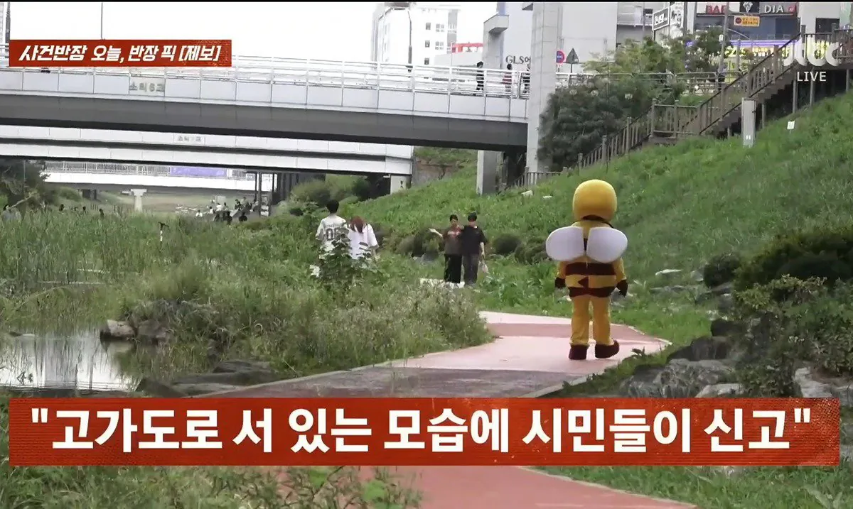 13.jpeg 사건반장에 나온 꿀벌 복장 입는 이유